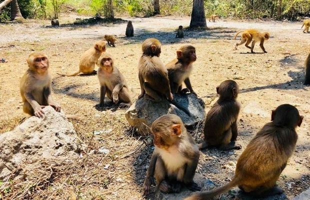 Monkey Island in Nha Trang